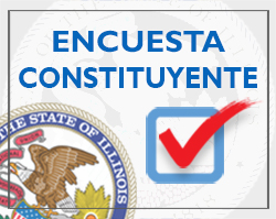 Encuesta Constituyente